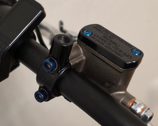 Ultra Bee Brake Mount Titanium Bolts